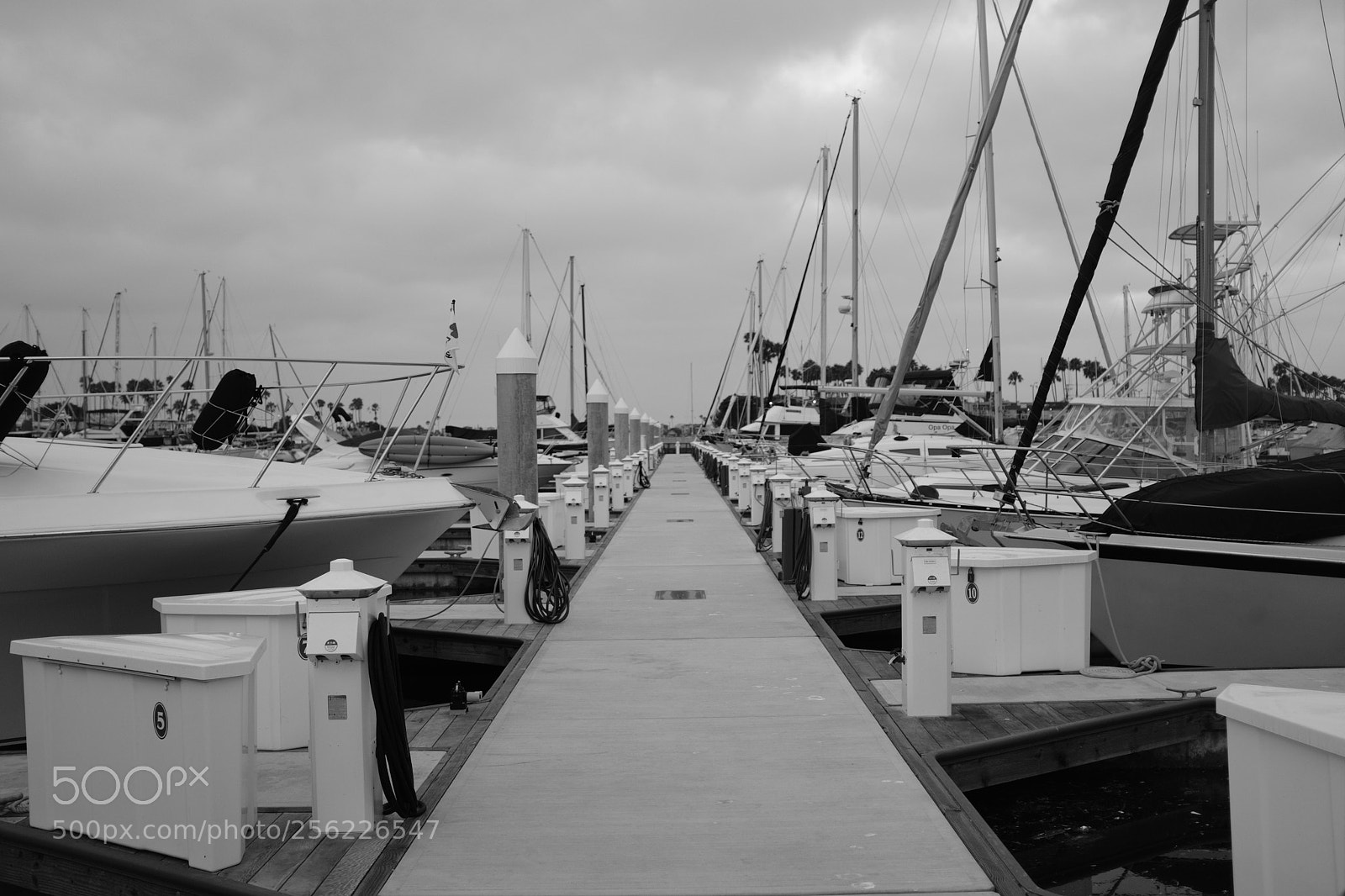 Fujifilm X100F sample photo. Untitled photography