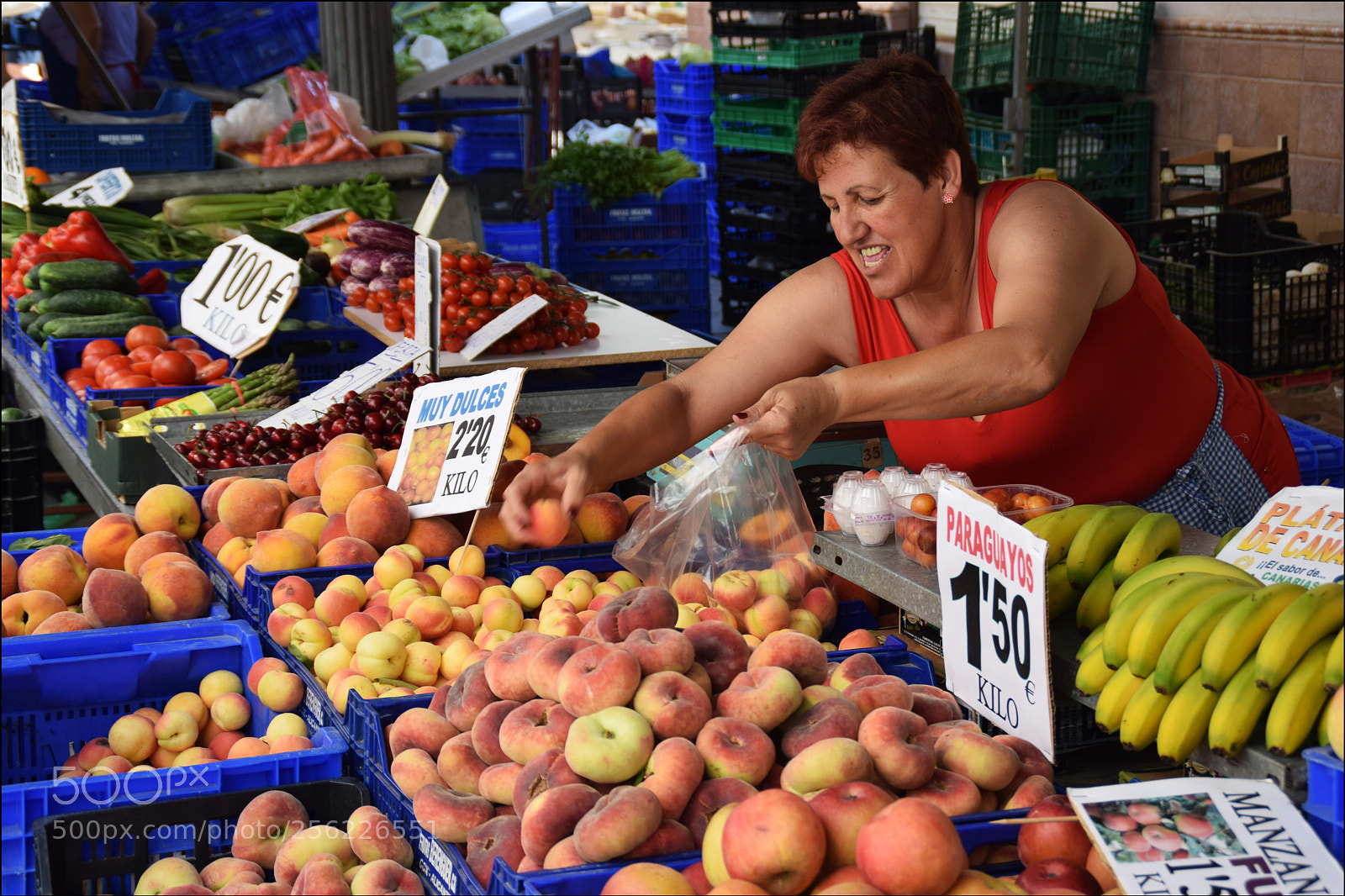 Nikon D5300 sample photo. Fruit stall photography