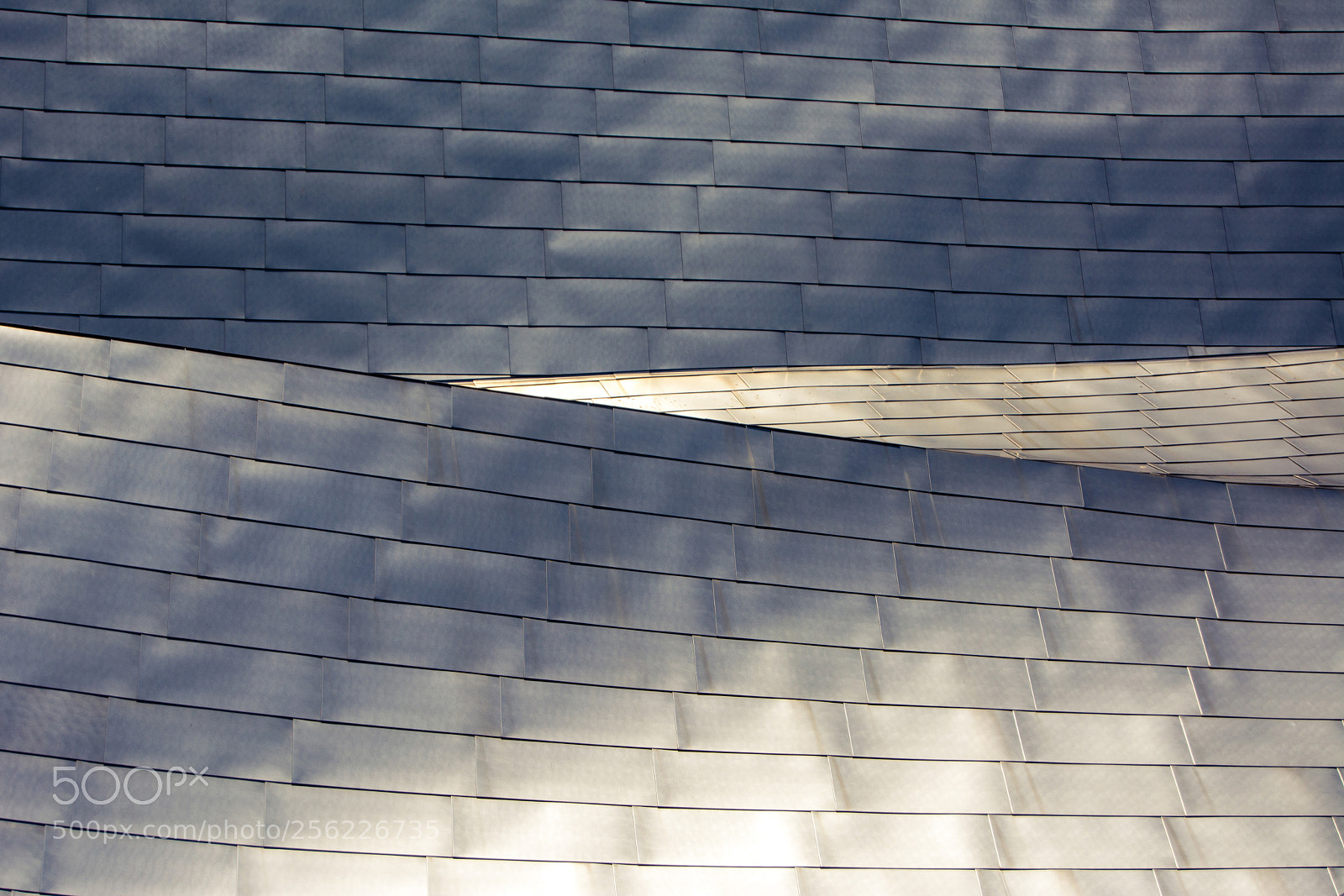 Nikon D7100 sample photo. Millennium park detail shot photography