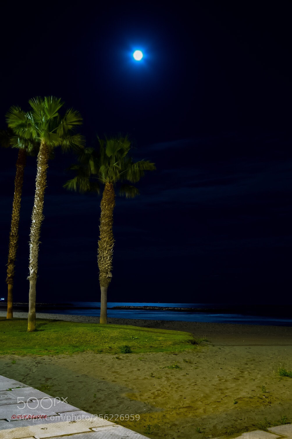 Nikon D5300 sample photo. Mediterranean night photography