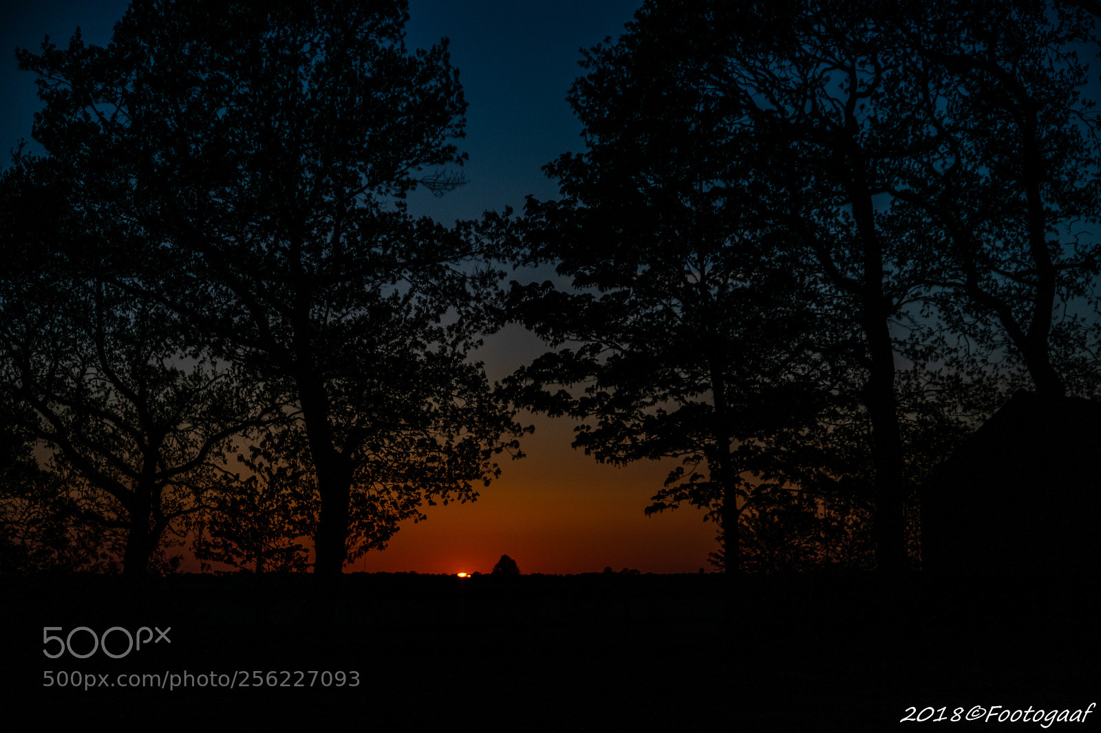 Sony ILCA-77M2 sample photo. Zonsondergang photography