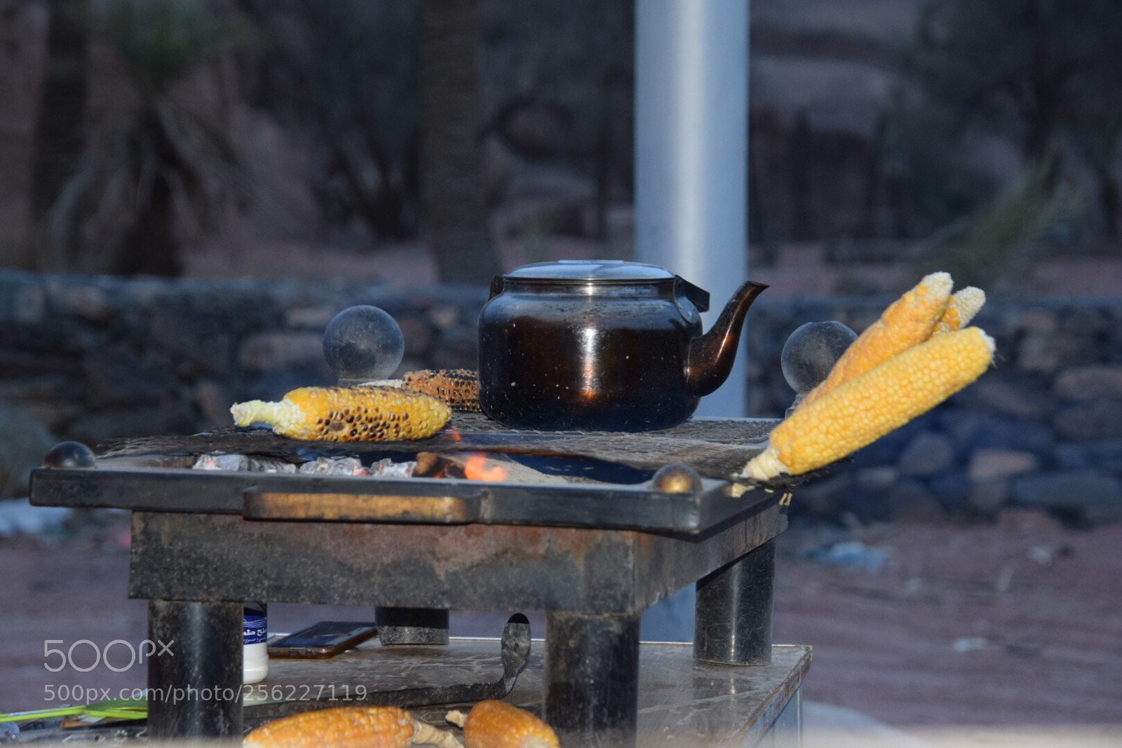 Nikon D5300 sample photo. Untitled photography