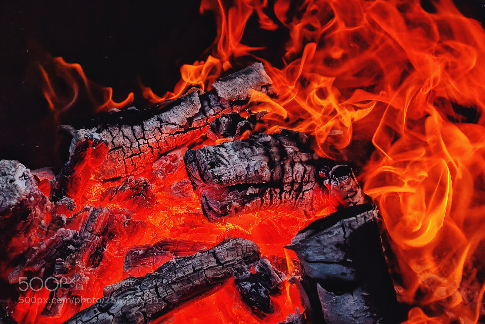 LG Nexus 5X sample photo. Eternal fire photography