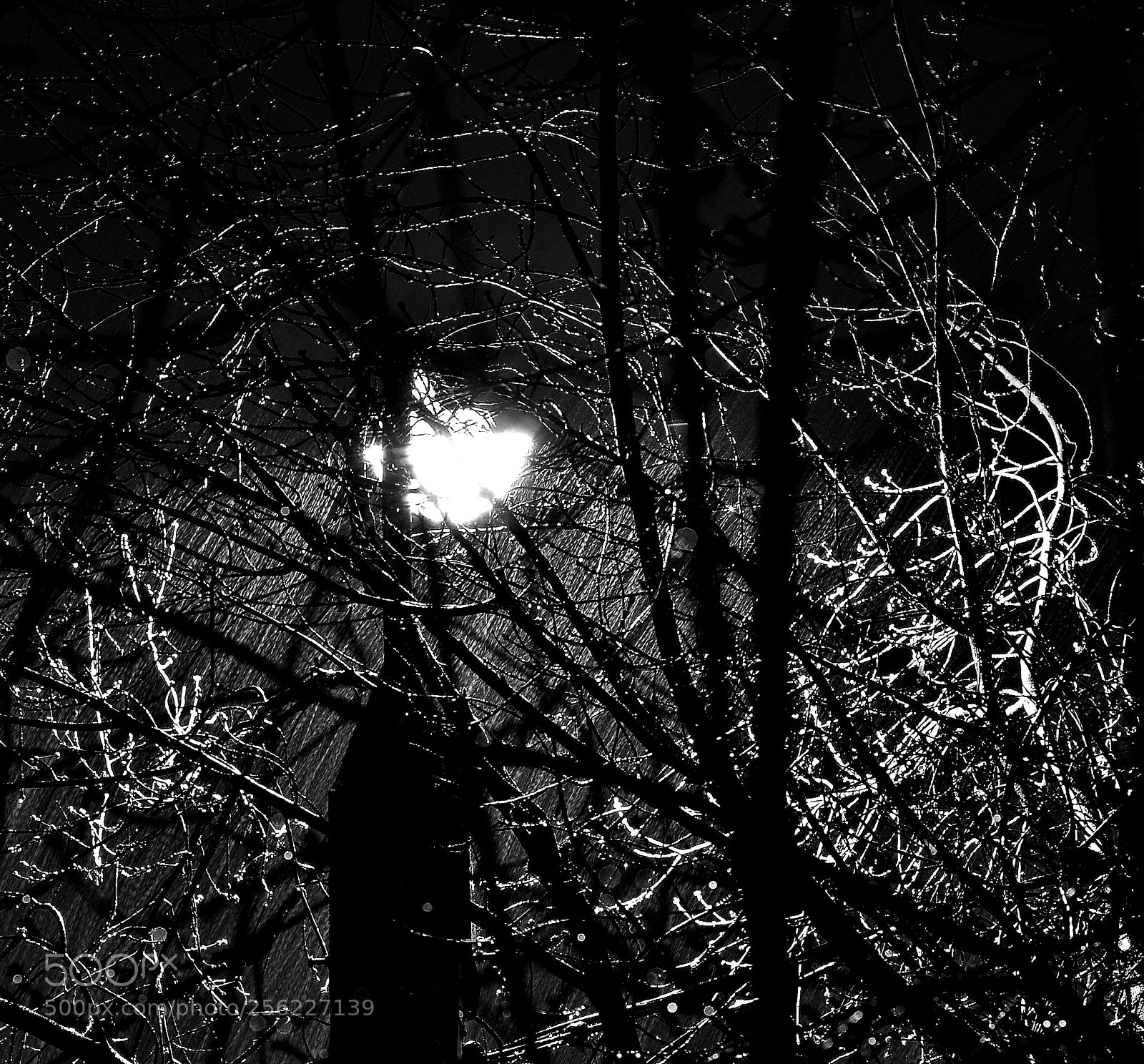 Nikon D7000 sample photo. Круговерть photography