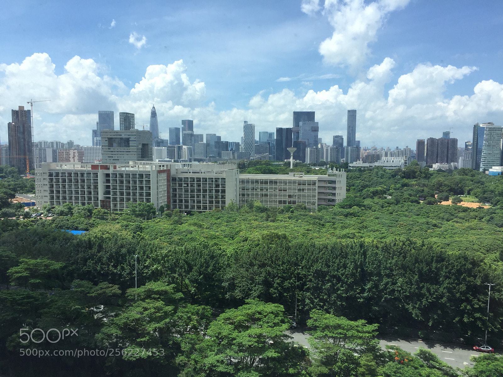 Apple iPhone 6 sample photo. Green wall
 photography