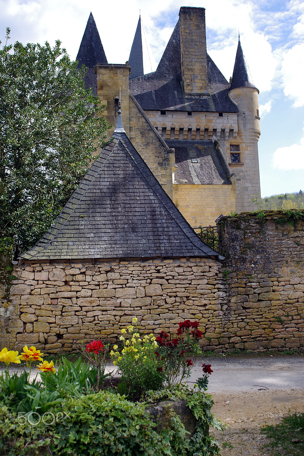 Tokina 19-35mm F3.5-4.5 AF sample photo. Chateau de clerans, st. léon sur vézère photography