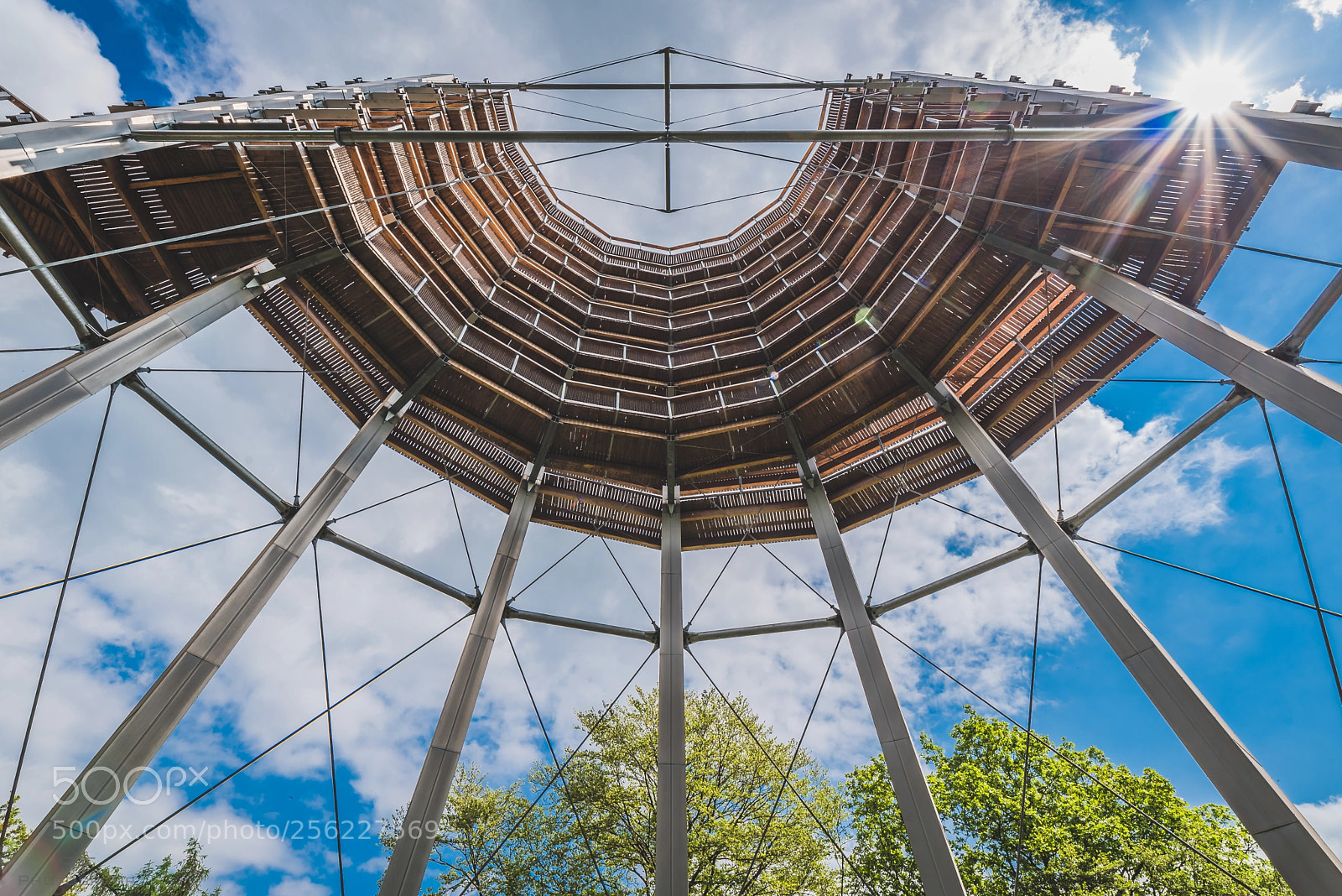 Nikon D750 sample photo. Baumwipfelpfad photography