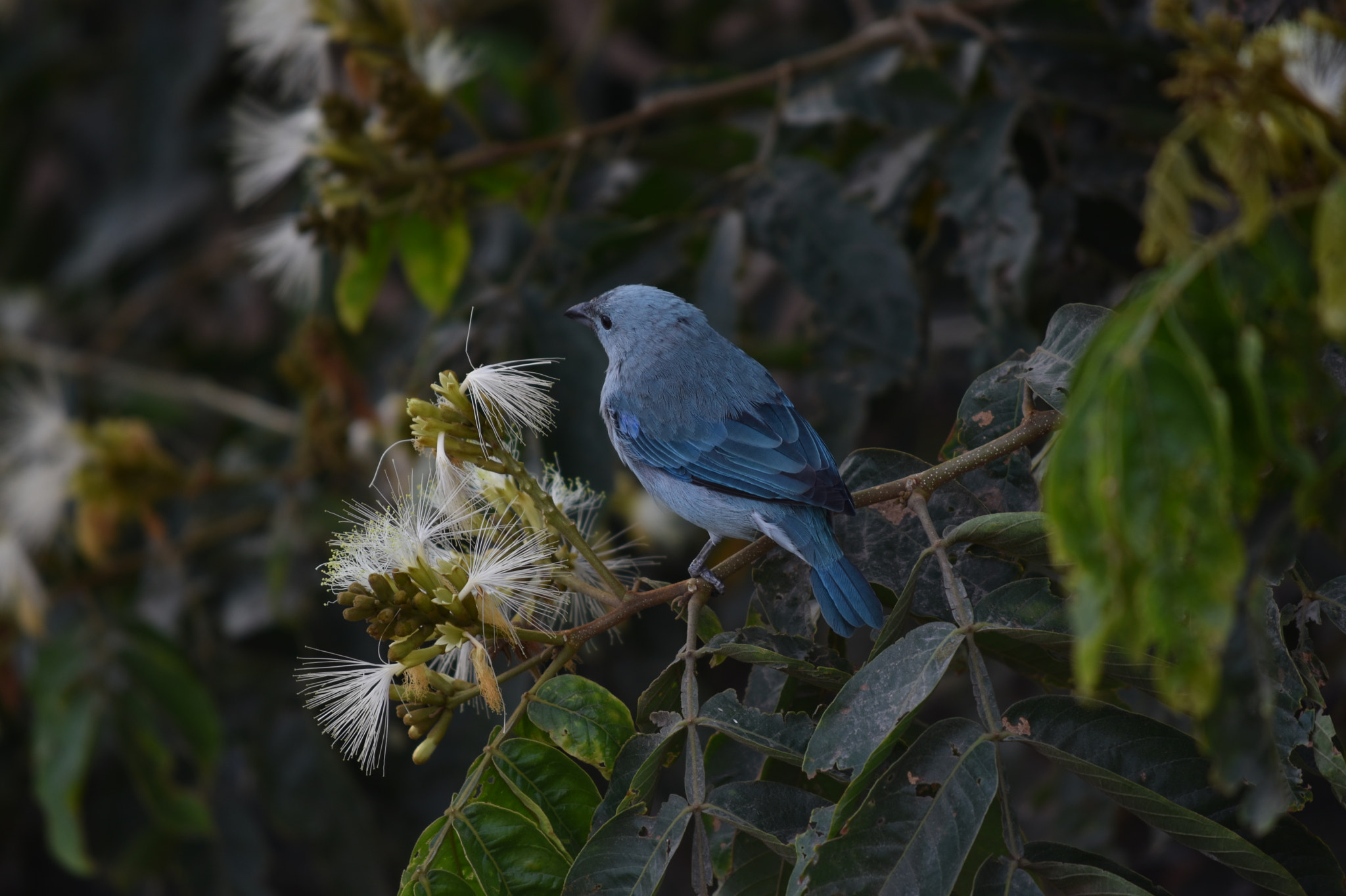 Nikon D5600 sample photo. Dsc photography