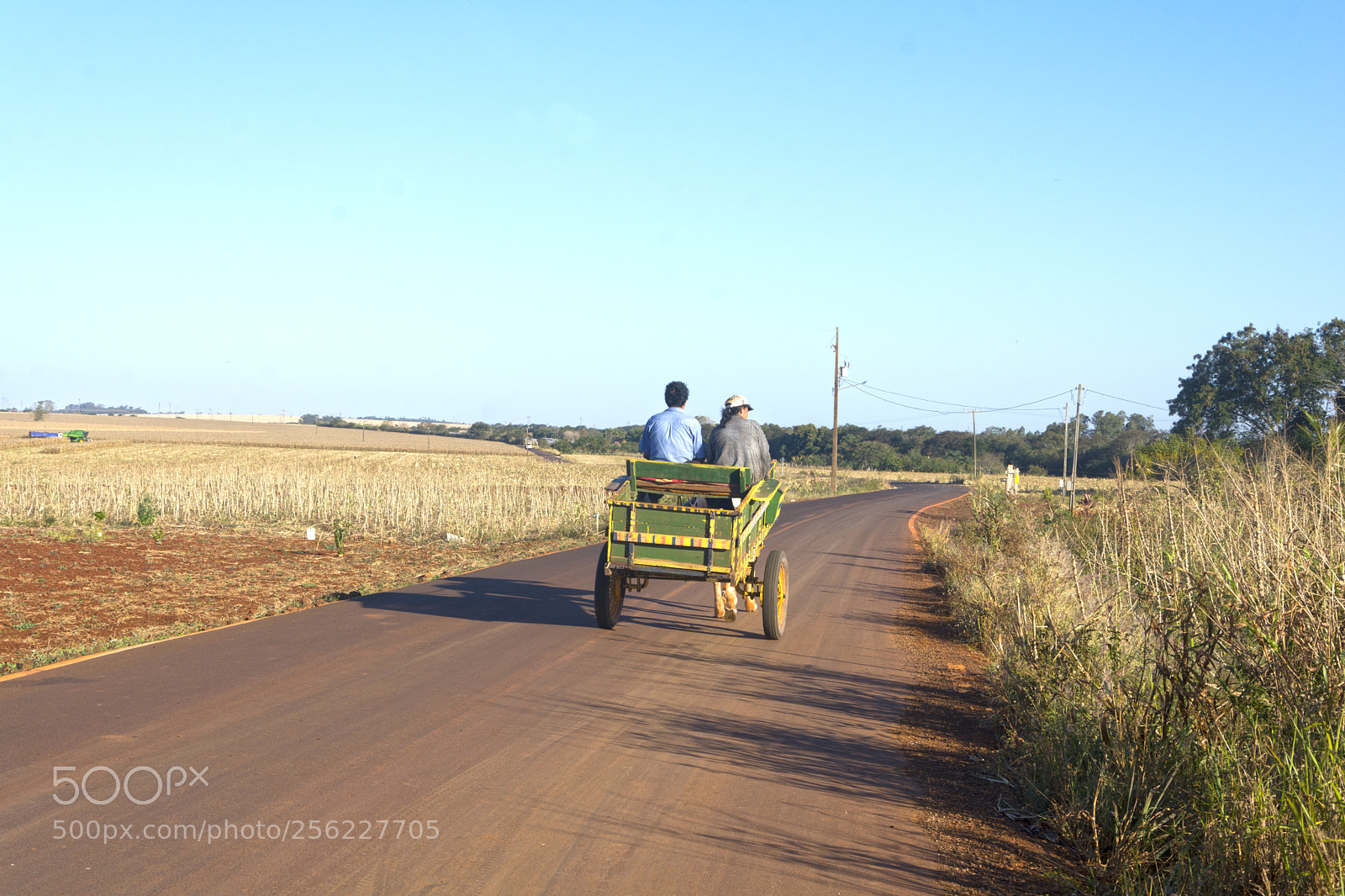 Nikon D7100 sample photo. Interior da cidade photography