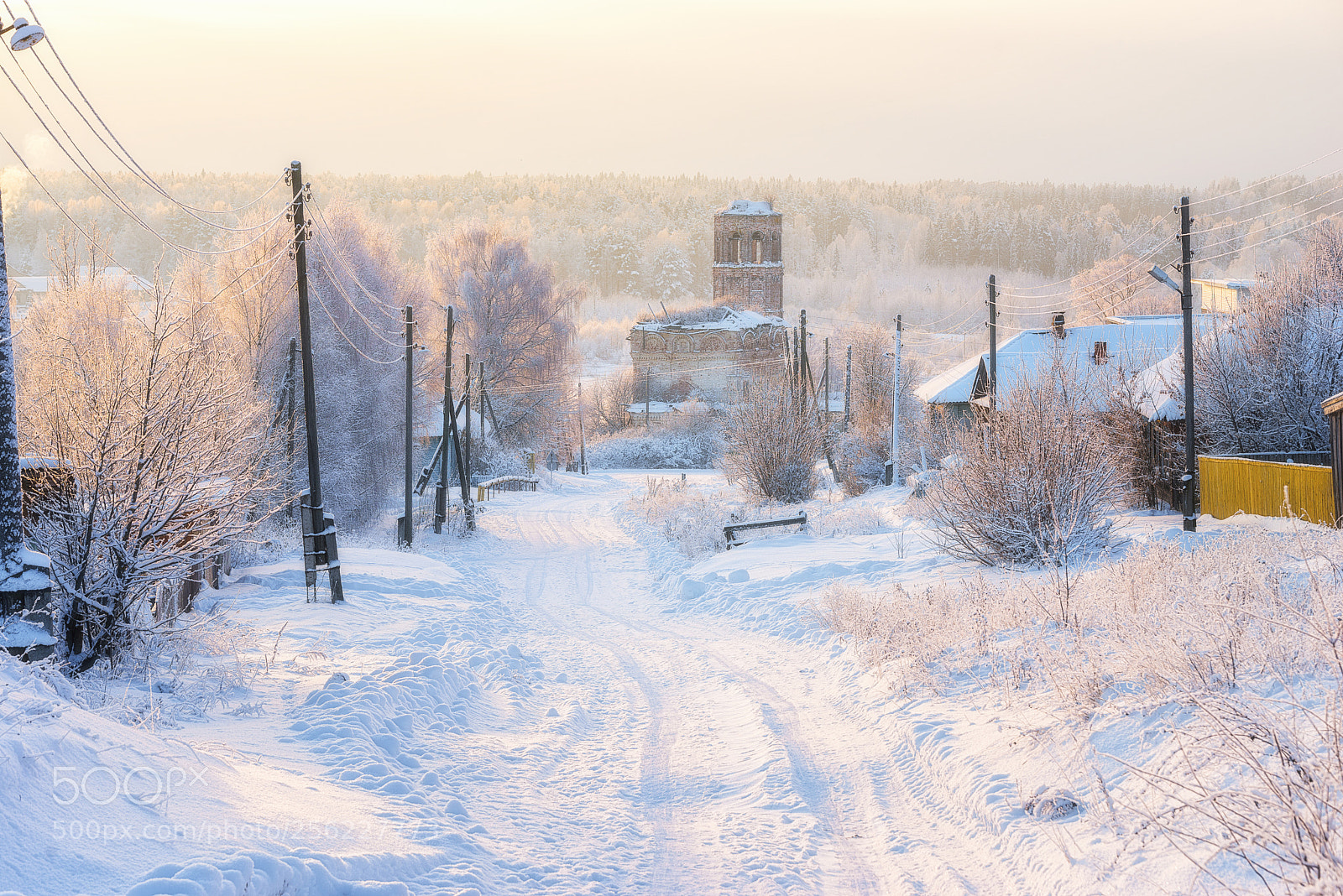 Nikon D610 sample photo. 912. winter in the photography