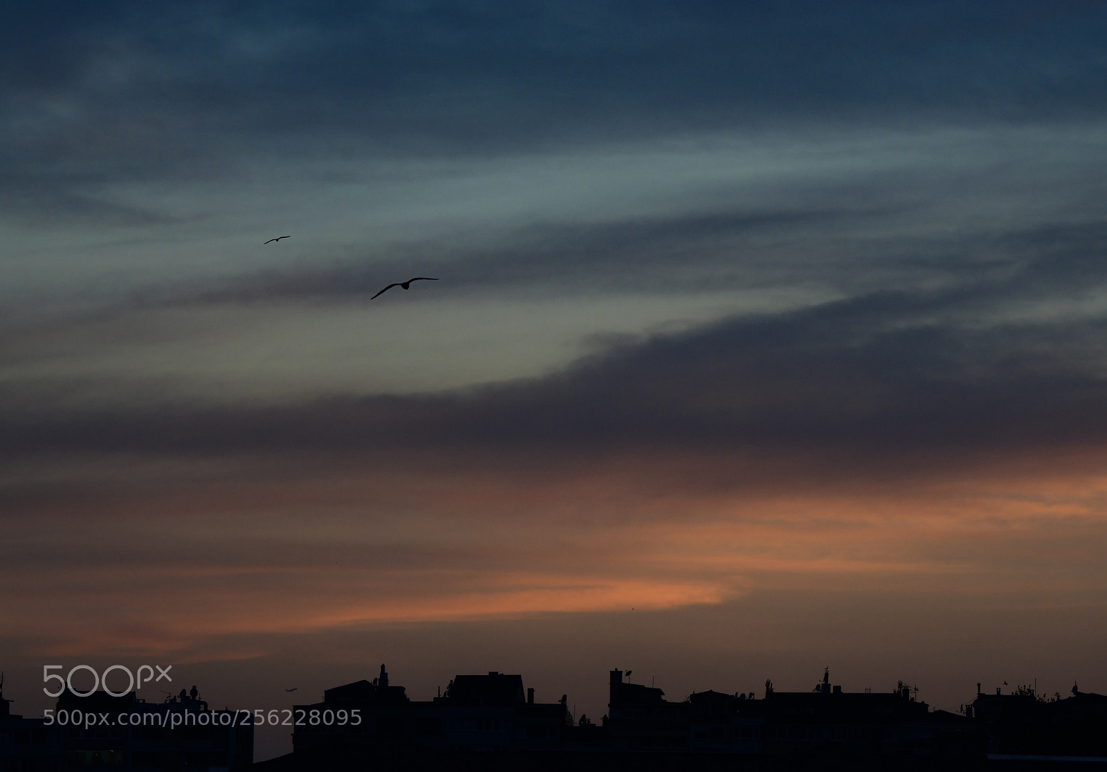 Nikon D850 sample photo. Pursuit of ... photography