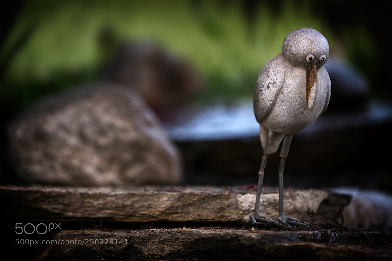 Nikon D850 sample photo. Security-bird :) photography