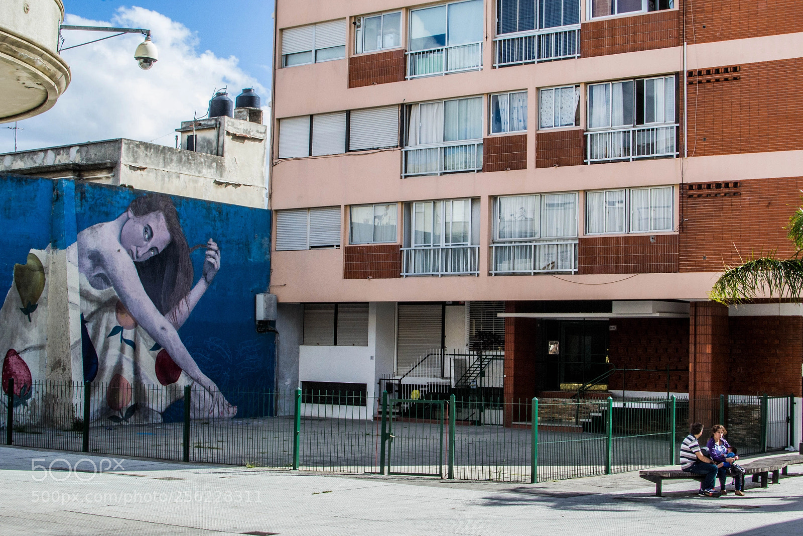 Nikon D3100 sample photo. Mural photography