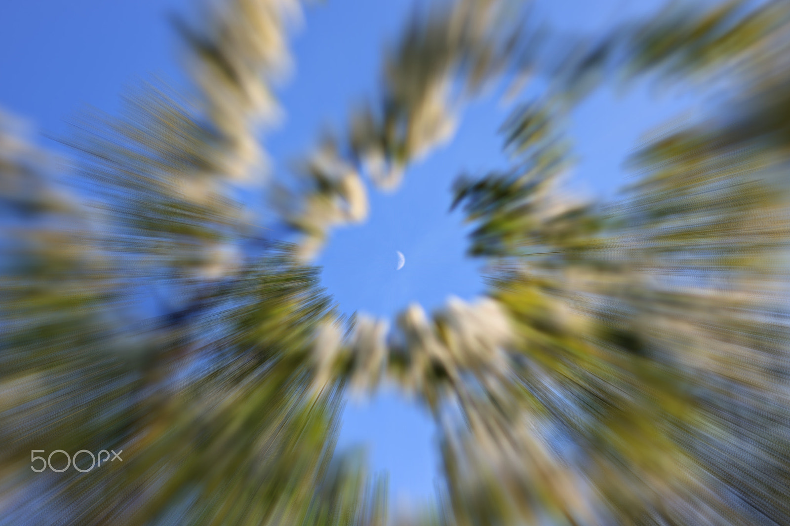 Canon EOS 750D (EOS Rebel T6i / EOS Kiss X8i) + Canon EF 50mm F1.8 II sample photo. Zoom blur blossom moon photography
