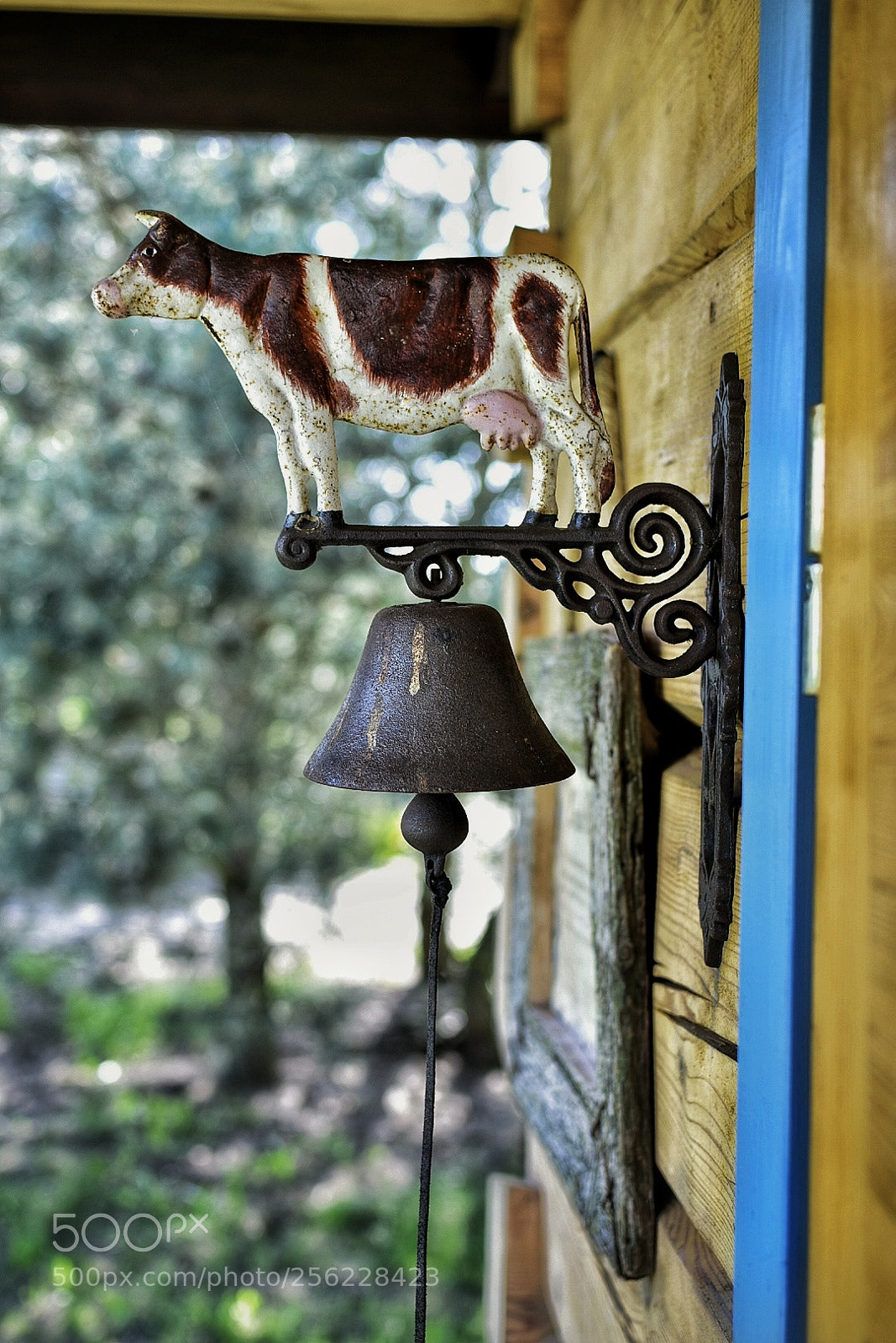 Nikon D7200 sample photo. Untitled photography