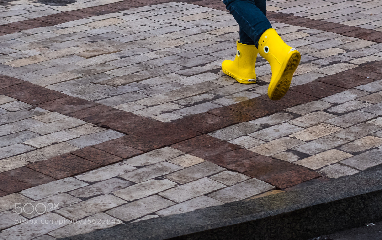 Fujifilm X-Pro2 sample photo. Yellow photography