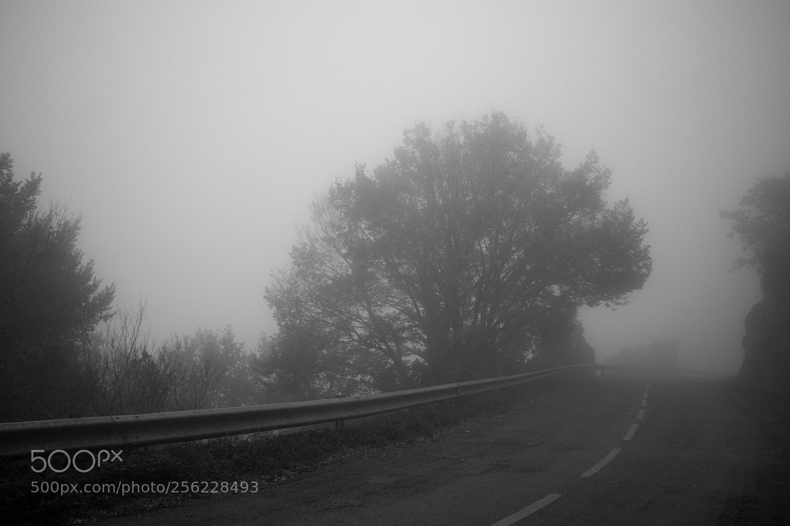 Canon EOS 70D sample photo. Carretera a la tristeza photography