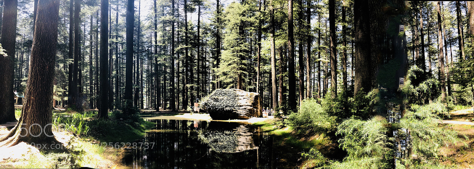 Apple iPhone 8 Plus sample photo. Hadimba  park, manali  photography