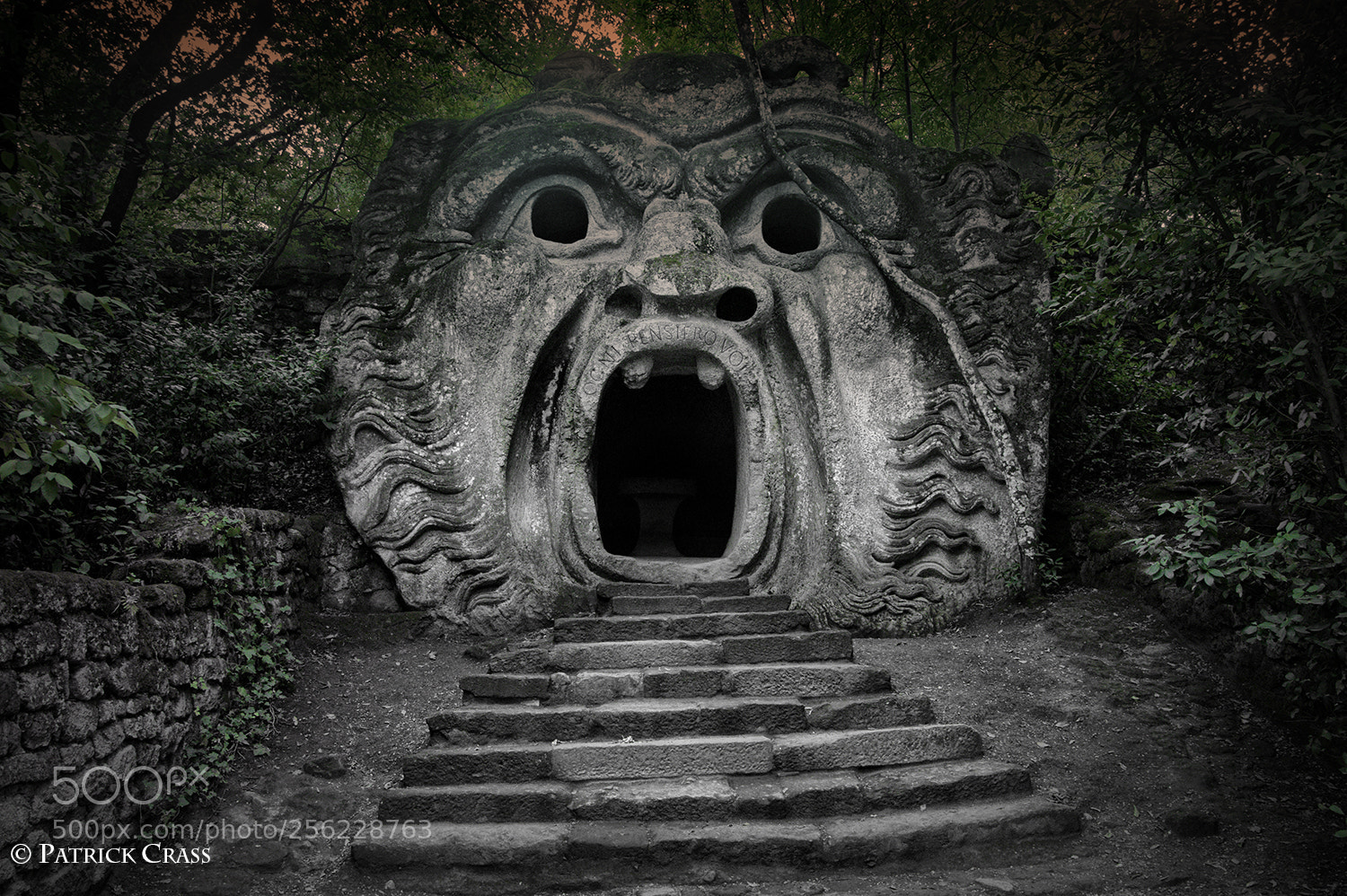 Nikon D90 sample photo. Scream photography