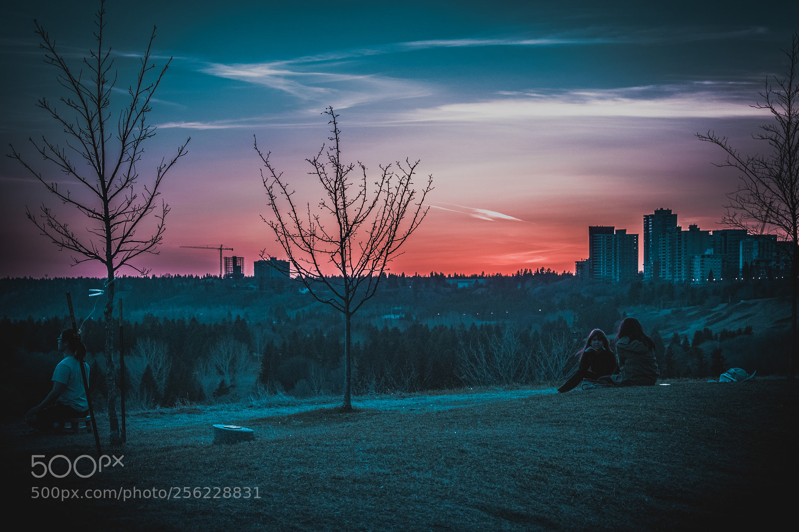 Nikon D5300 sample photo. Edmonton sunset photography