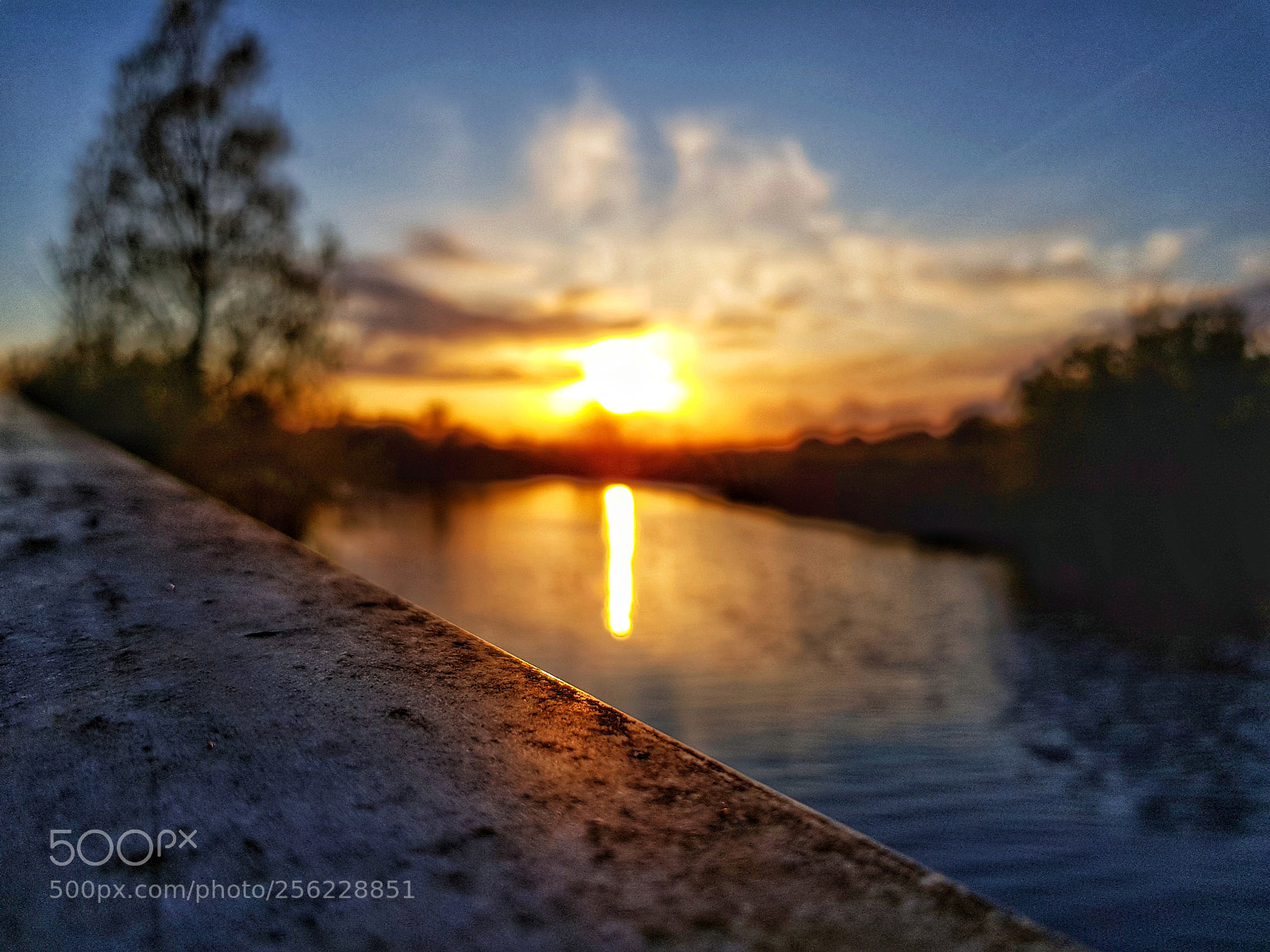 Samsung Galaxy S8 sample photo. Untitled photography