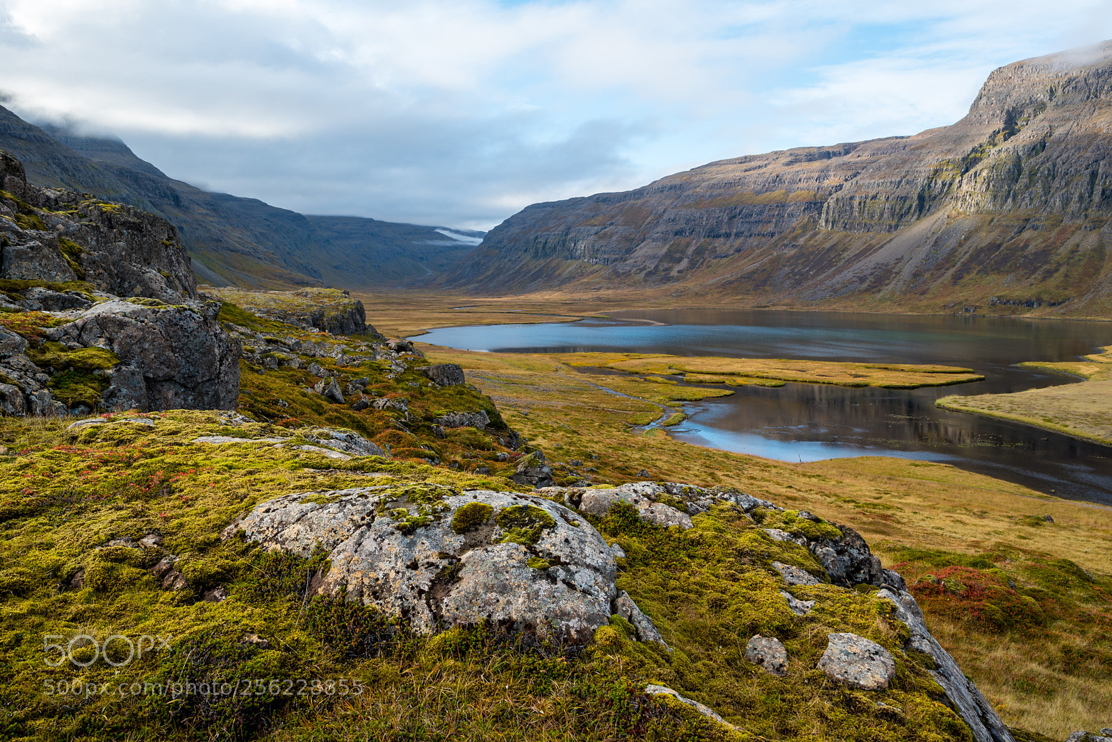 Nikon D750 sample photo. Kaldbaksvík, westfjords, iceland photography