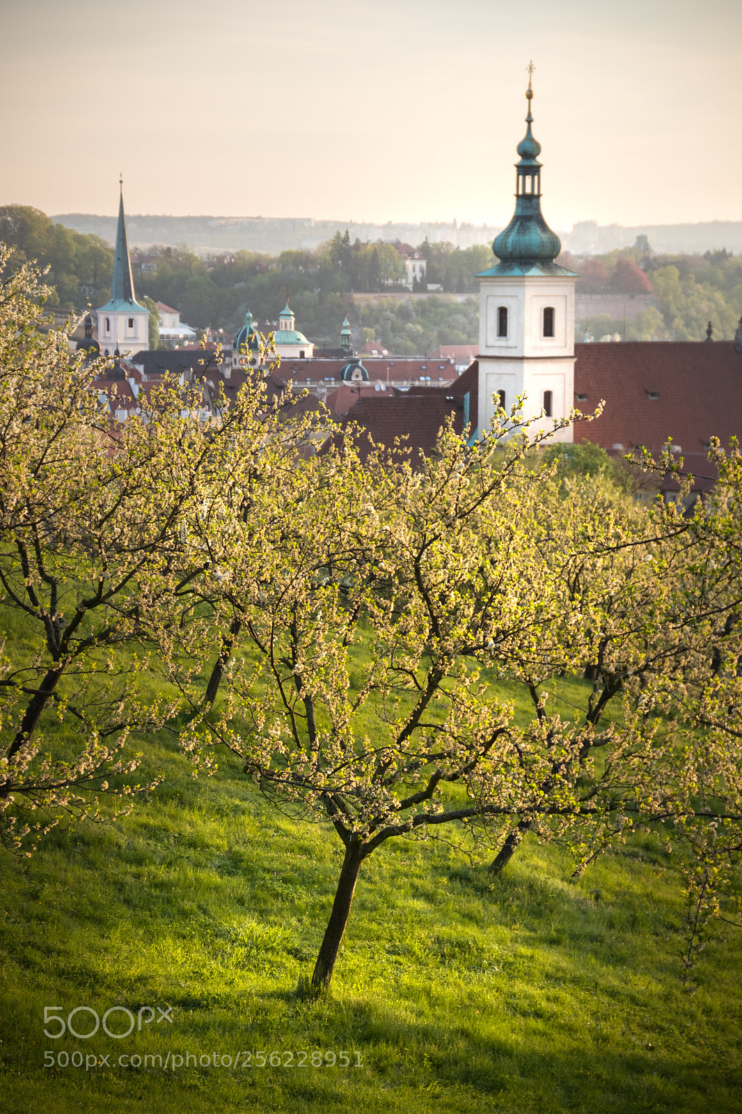 Canon EOS 80D sample photo. Petrin garden sunrise photography