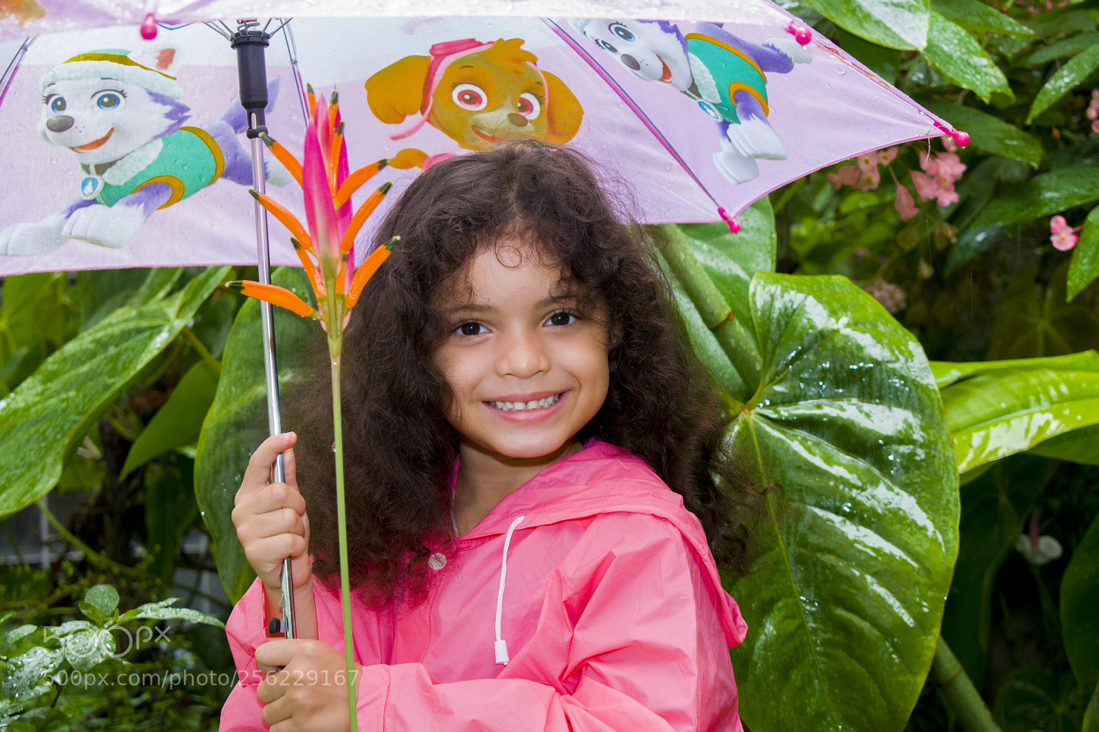 Nikon D5300 sample photo. Julia photography