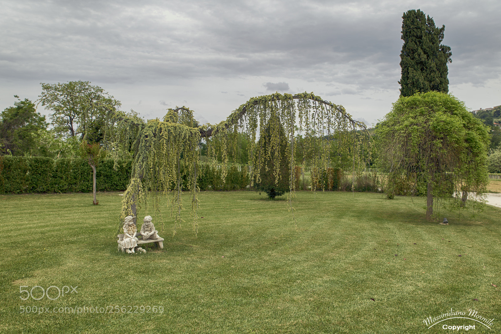 Canon EOS 6D sample photo. Alberi photography