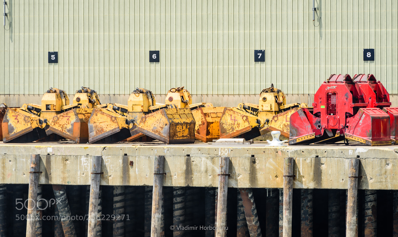 Nikon D810 sample photo. Resting pac-mans photography