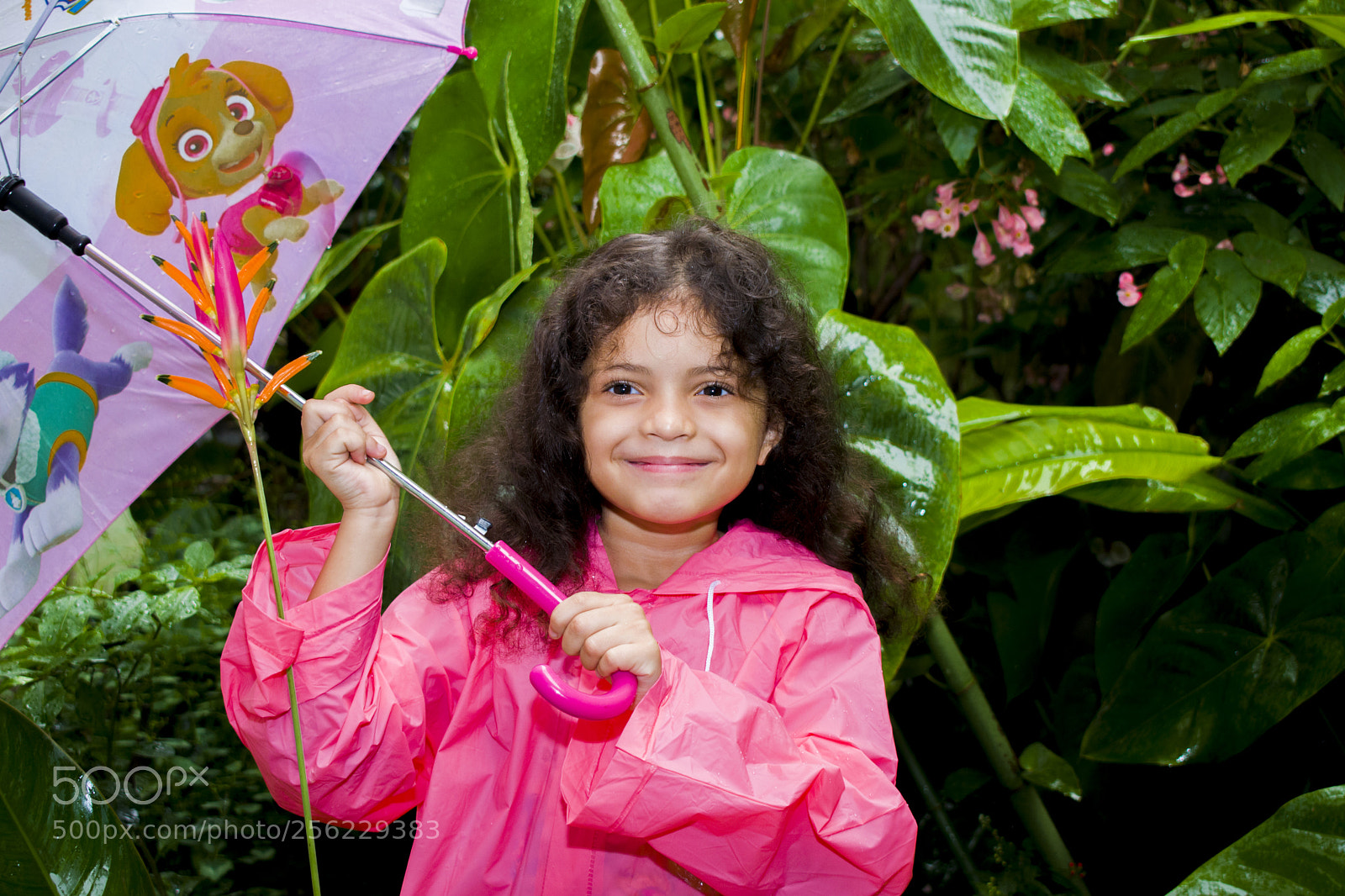 Nikon D5300 sample photo. Julia photography