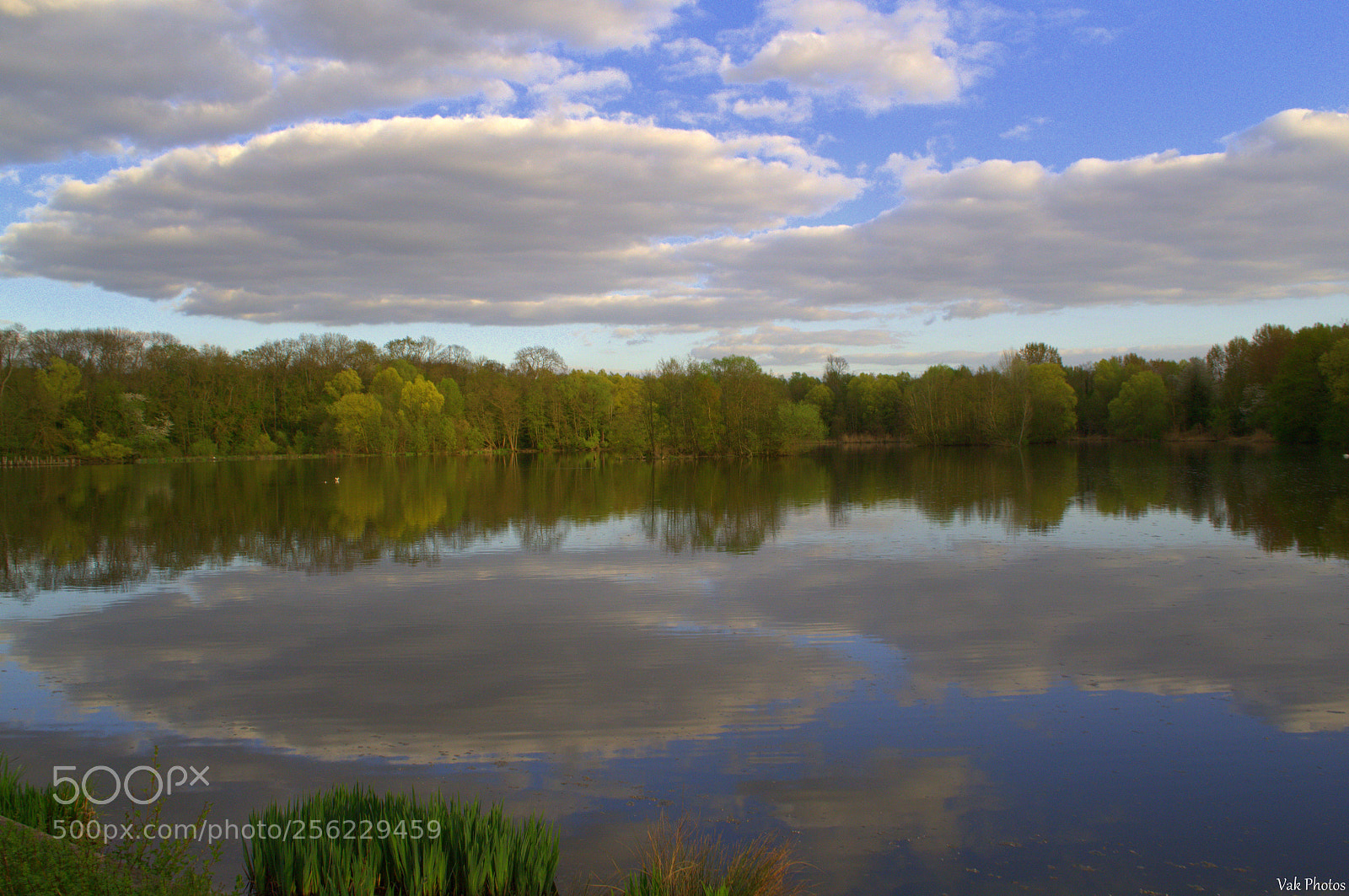 Nikon D3100 sample photo. Reflections photography