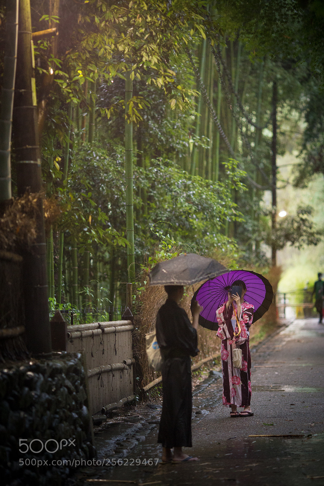 Canon EOS 6D sample photo. Arashiyama forest photography