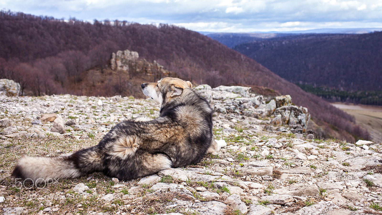 Canon EOS 5D Mark II sample photo. A mountain guide photography