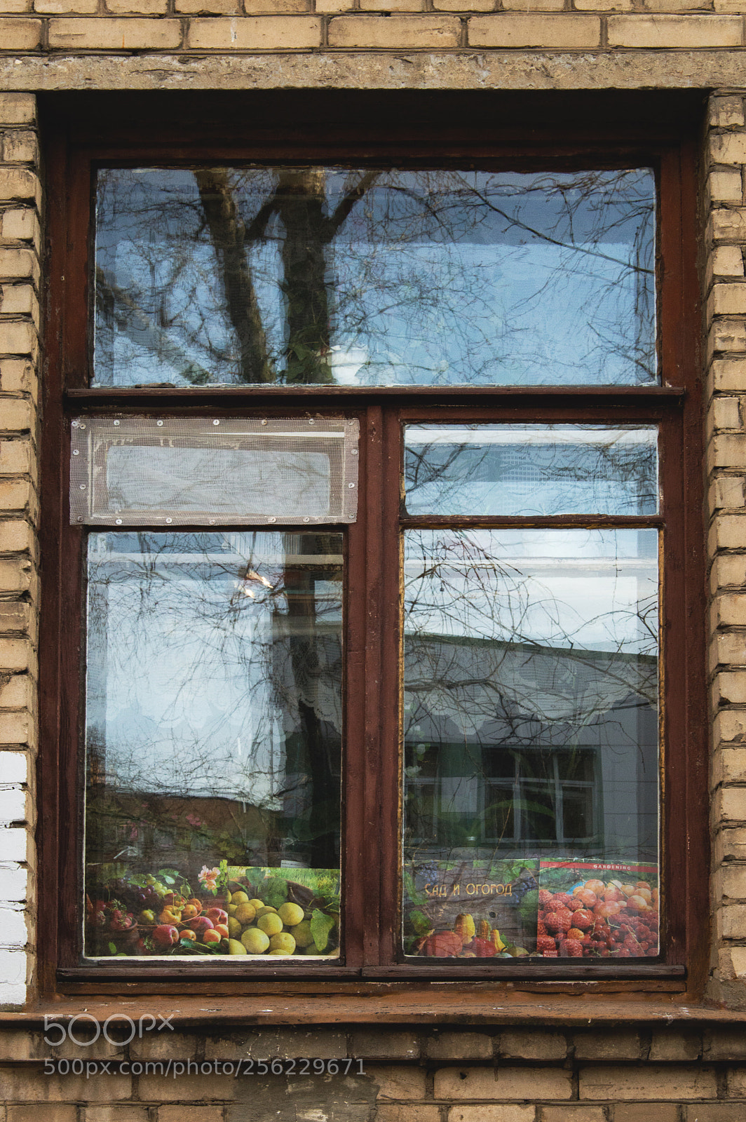 Nikon D3200 sample photo. Натюрморт photography