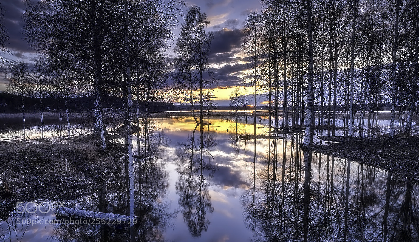 Nikon D750 sample photo. Brunnsjön photography