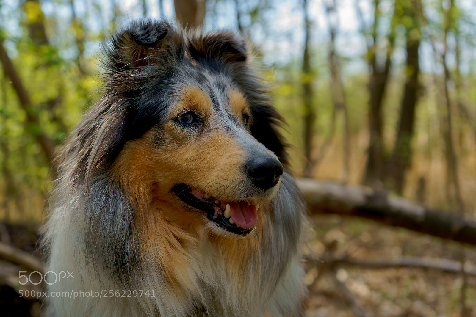 Sony a7 III sample photo. Mosen in holbæk photography