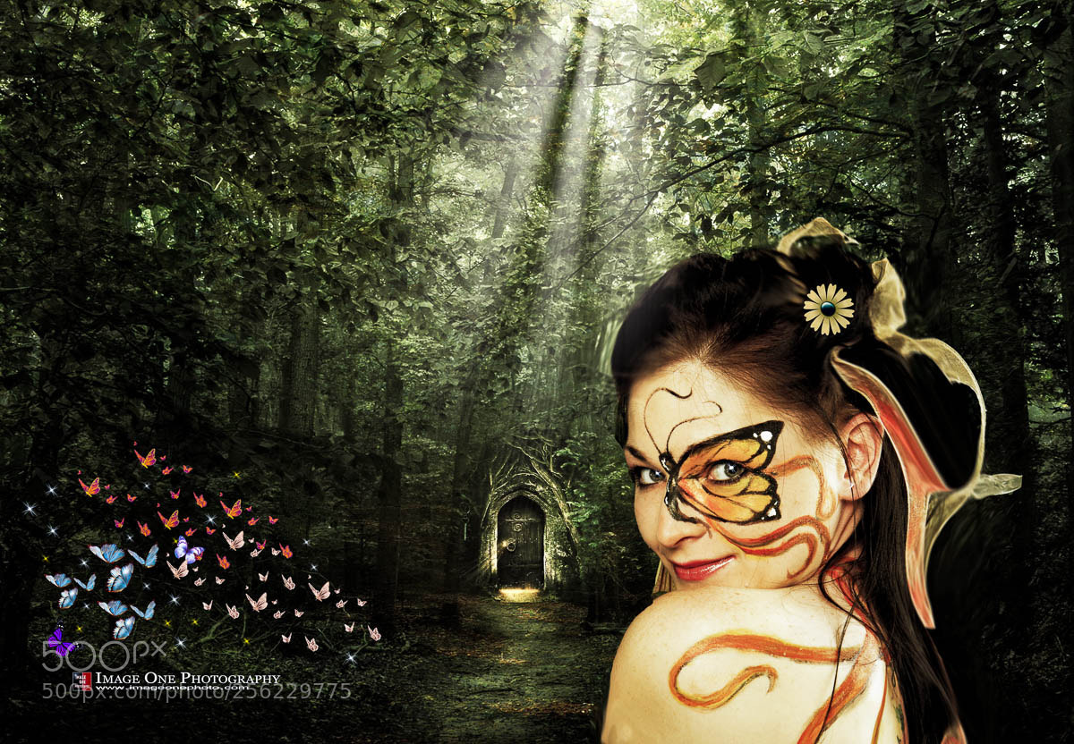 Nikon D3S sample photo. Fairytale monarch photography