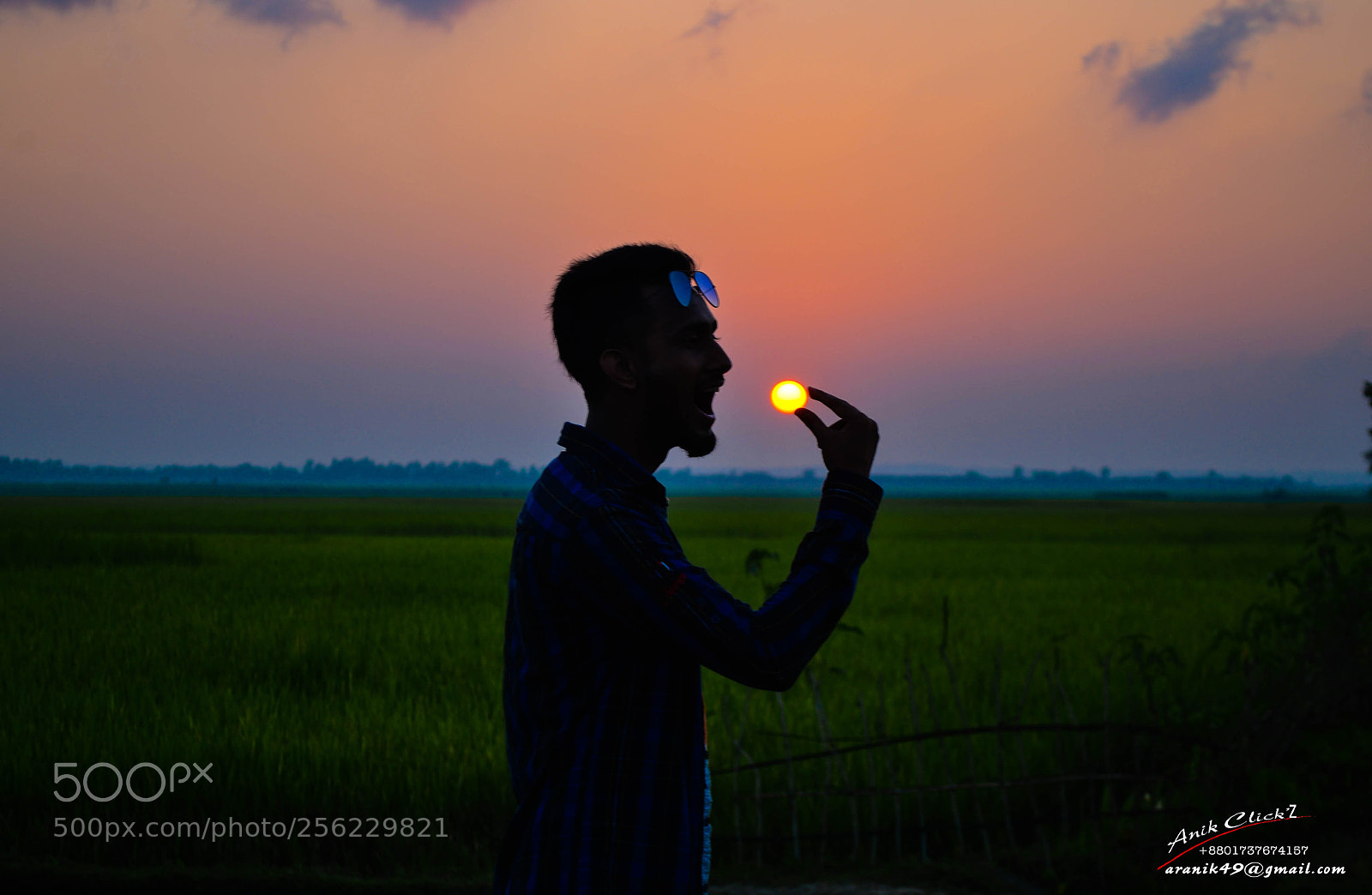 Nikon D7000 sample photo. Eating sun photography