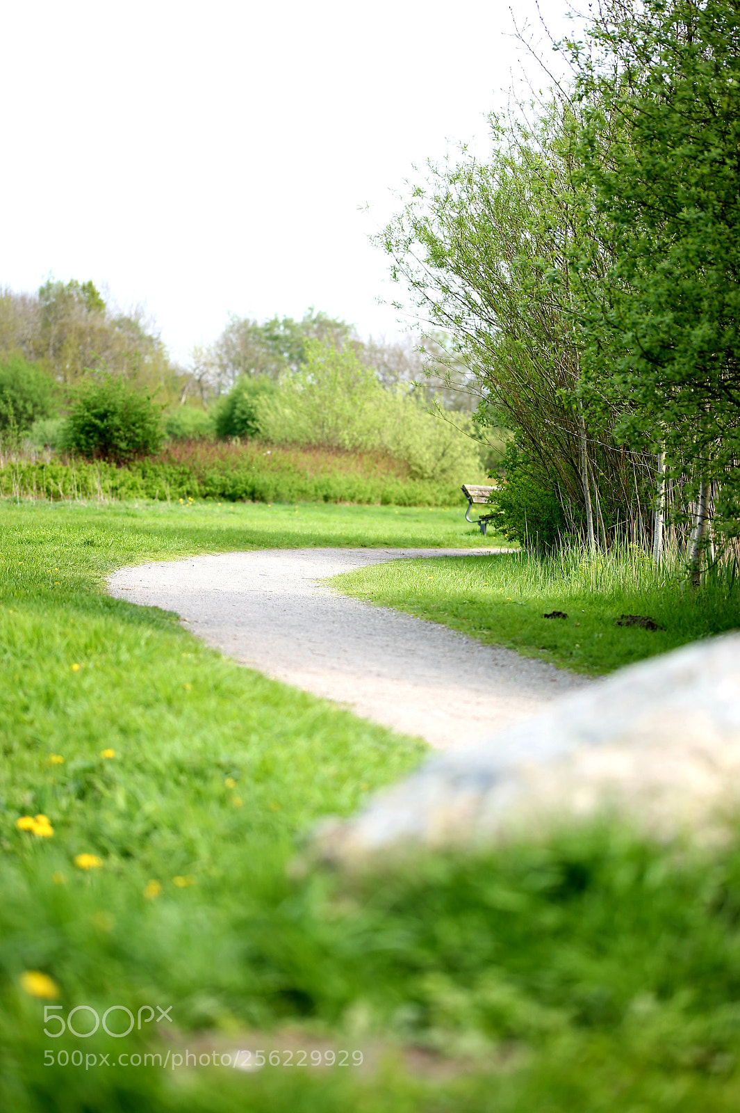Canon EOS 6D sample photo. Untitled photography