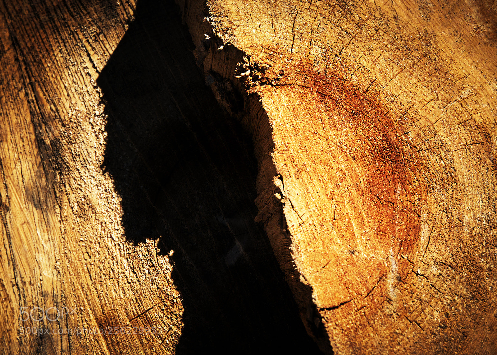 Nikon D5500 sample photo. Abstract shadow on the photography