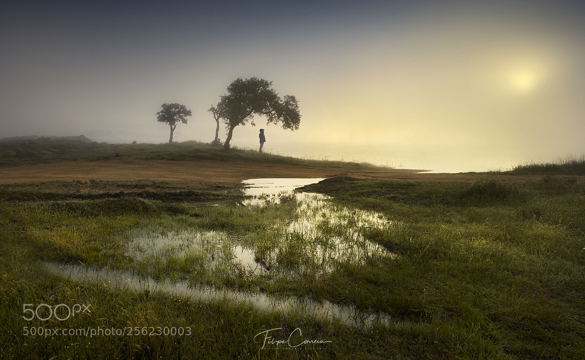 Canon EOS 6D sample photo. Melancholic morning photography