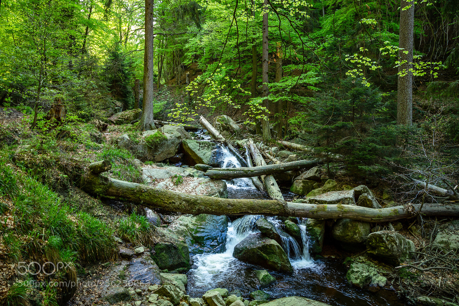 Canon EOS 6D sample photo. Wilde green ilsefälle photography