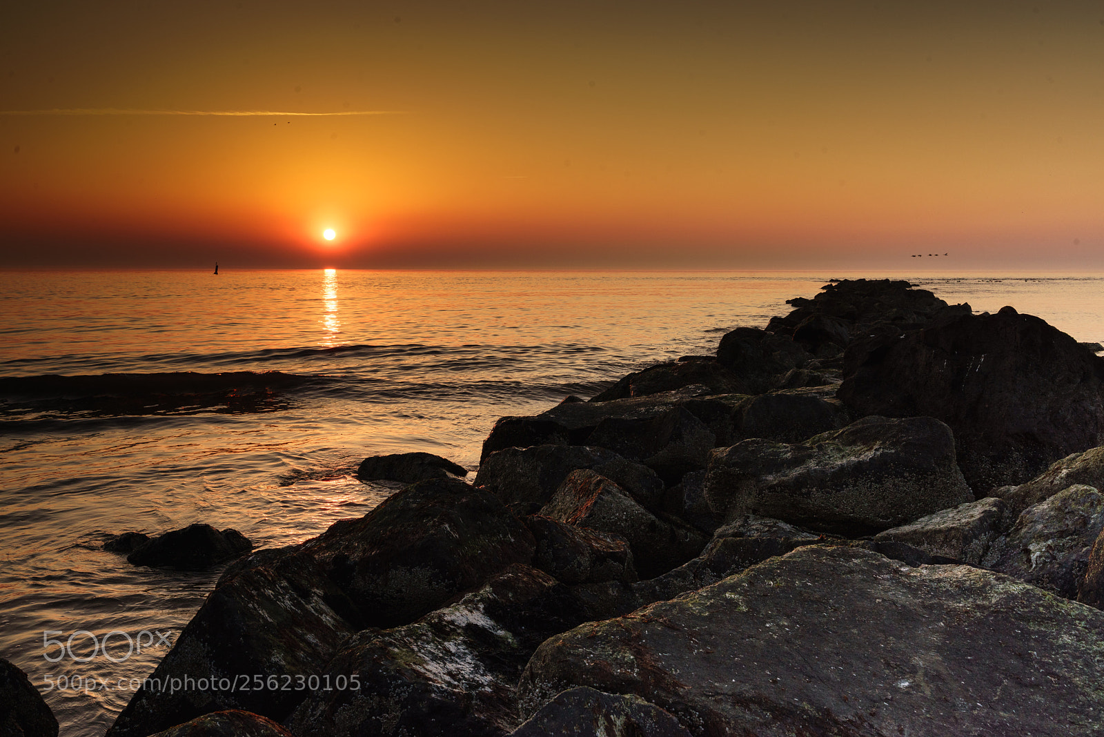 Sony a7R sample photo. Texel sunset photography