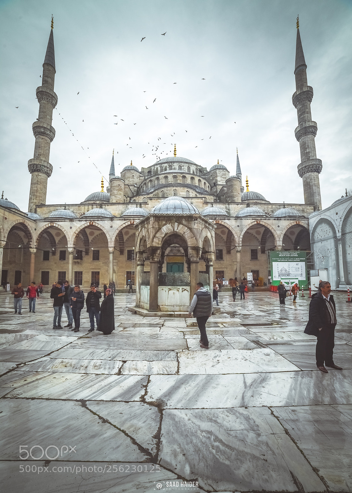 Nikon D750 sample photo. Blue mosque #3 photography