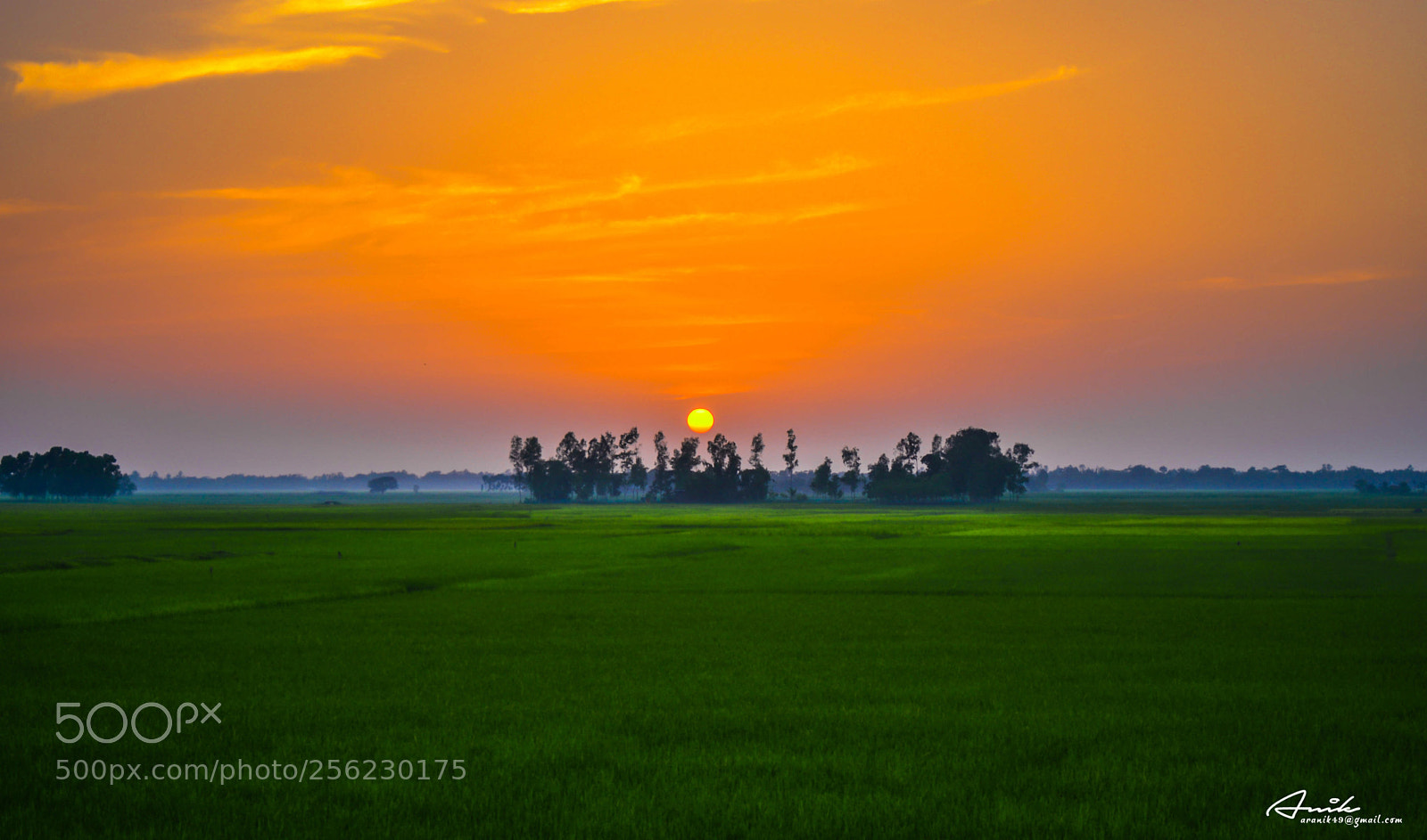 Nikon D7000 sample photo. Sunset photography