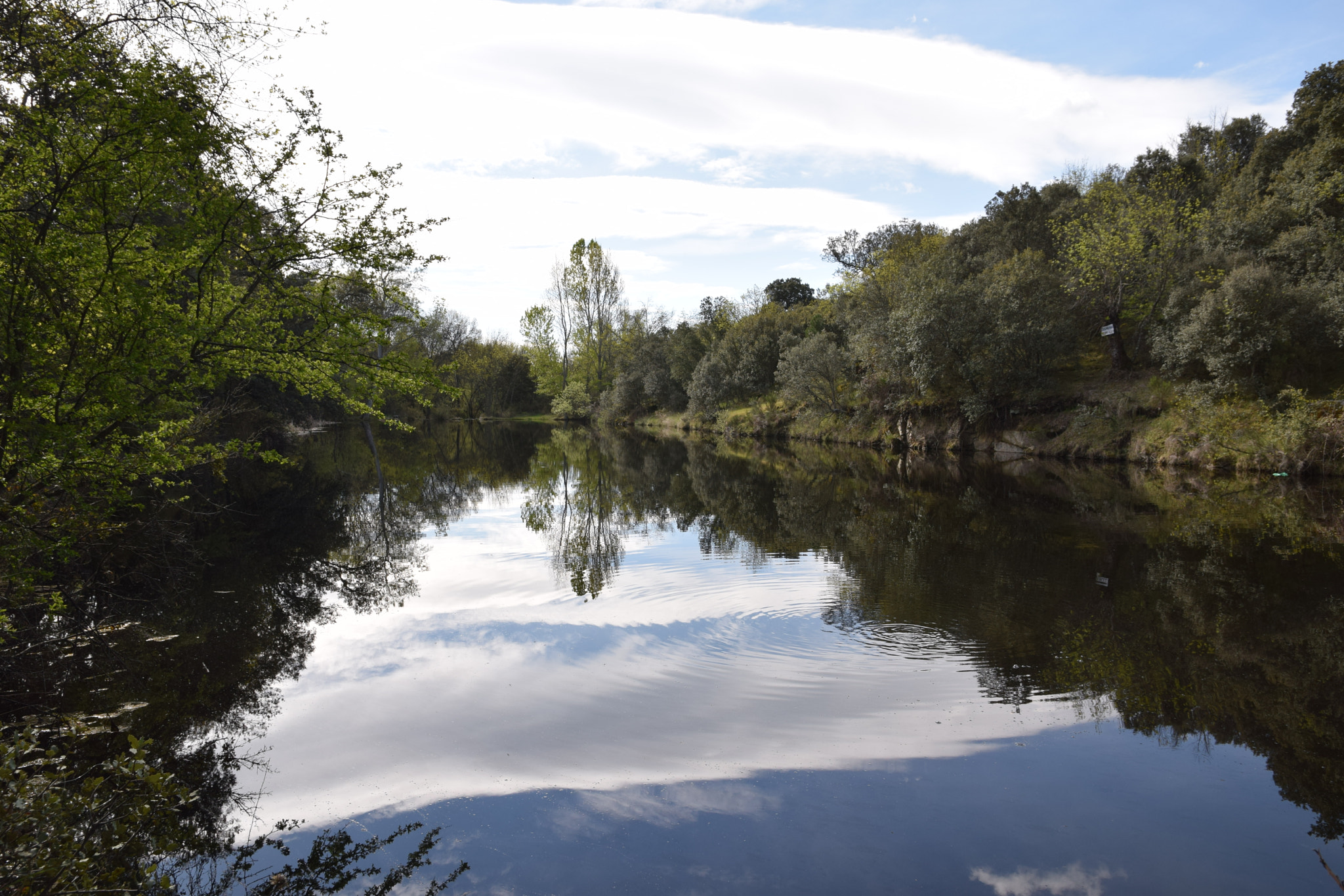 Nikon D3300 + Sigma 17-70mm F2.8-4 DC Macro OS HSM | C sample photo. The little lake. photography