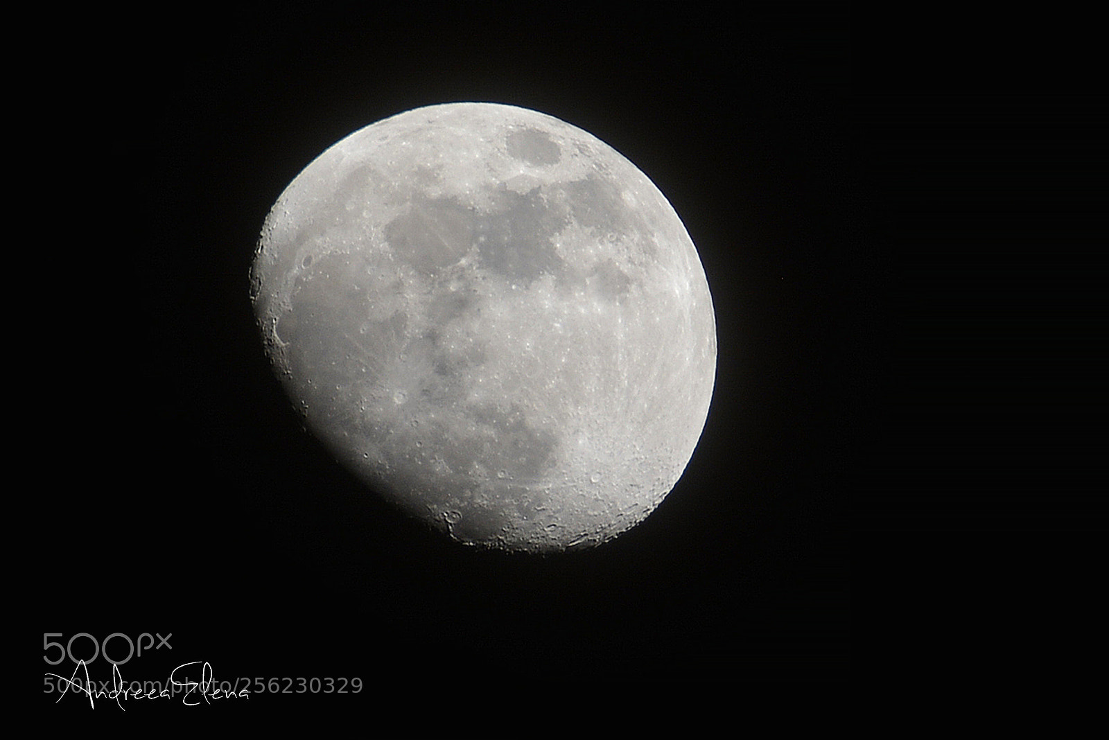 Nikon D5200 sample photo. Mond photography