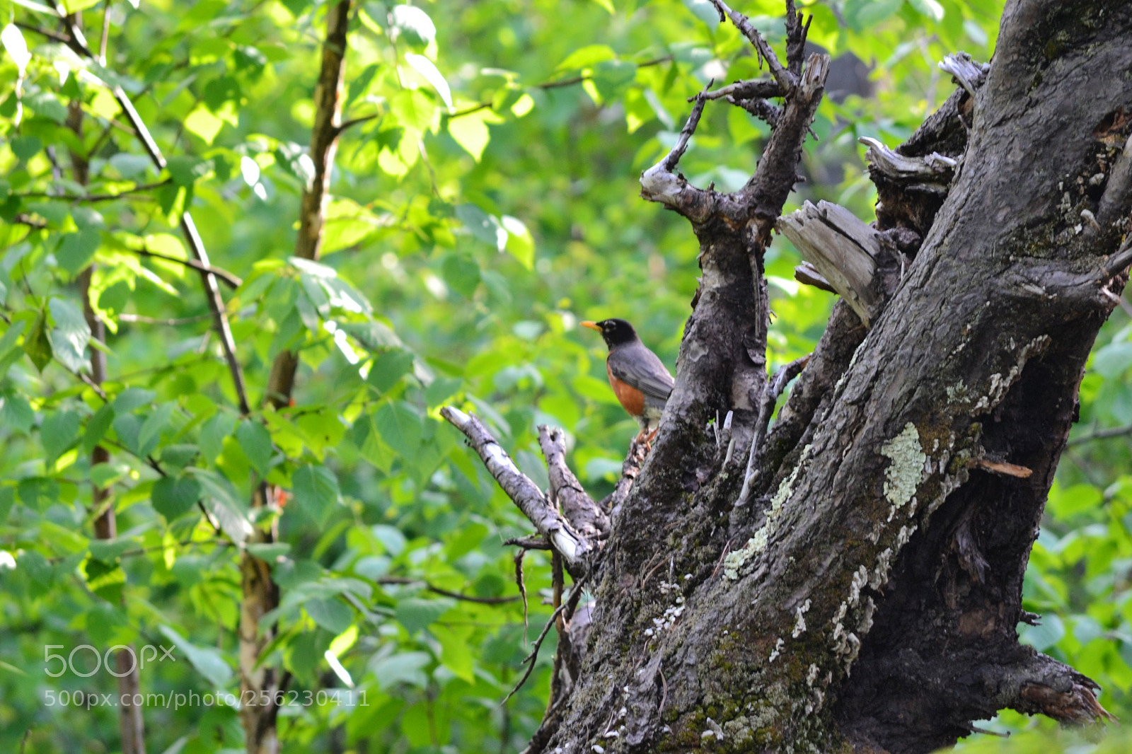 Nikon D3100 sample photo. Untitled photography