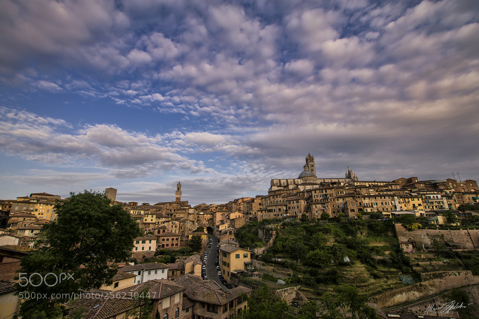 Nikon D5500 sample photo. Siena - italy photography